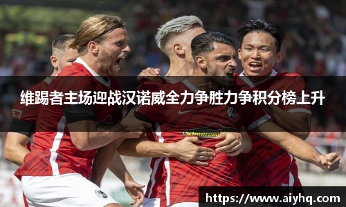 维踢者主场迎战汉诺威全力争胜力争积分榜上升
